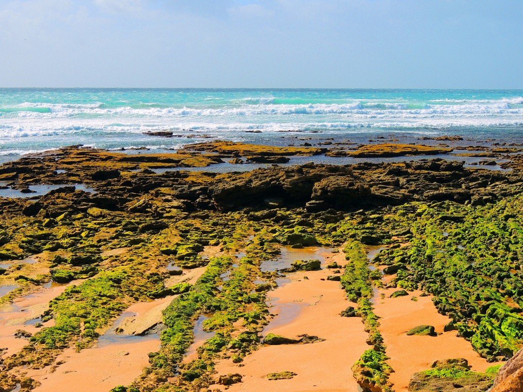 Foto de Los Caños de Mea (Cádiz), España