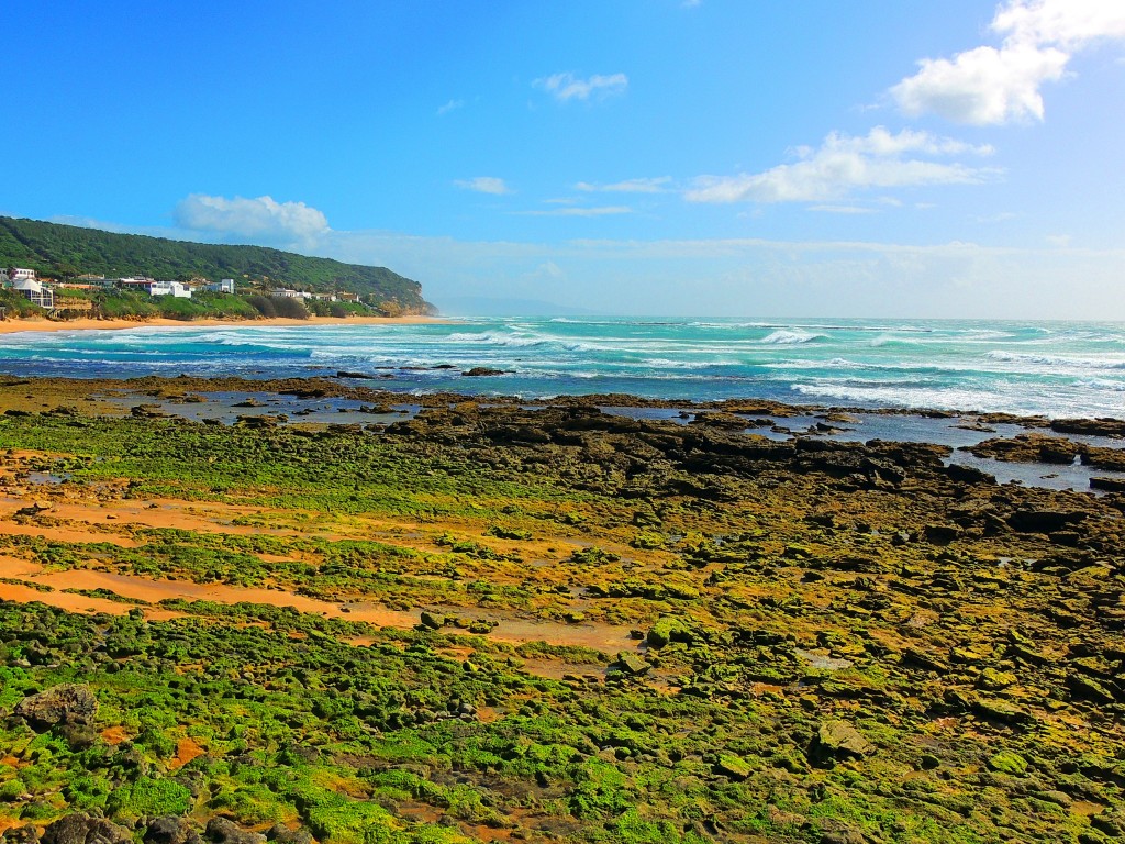 Foto de Los Caños de Mea (Cádiz), España