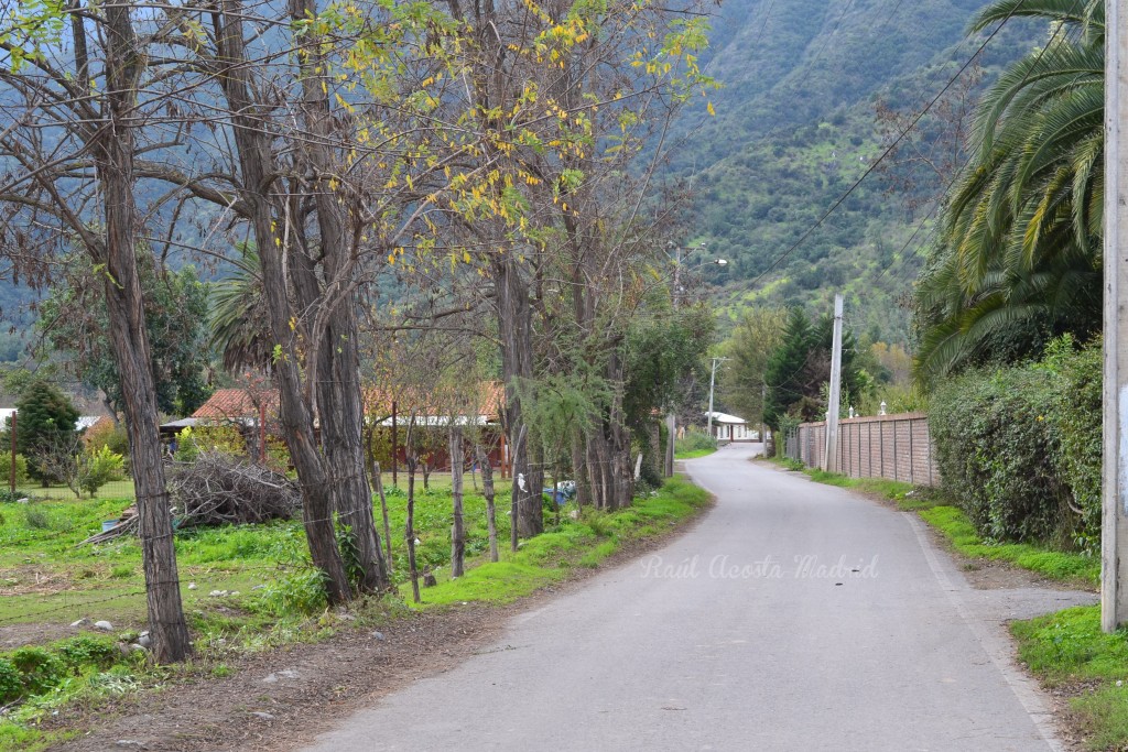 Foto de Lo Miranda (Libertador General Bernardo OʼHiggins), Chile