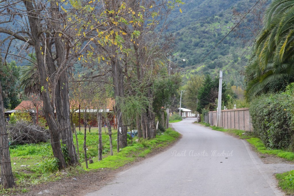 Foto de Lo Miranda (Libertador General Bernardo OʼHiggins), Chile
