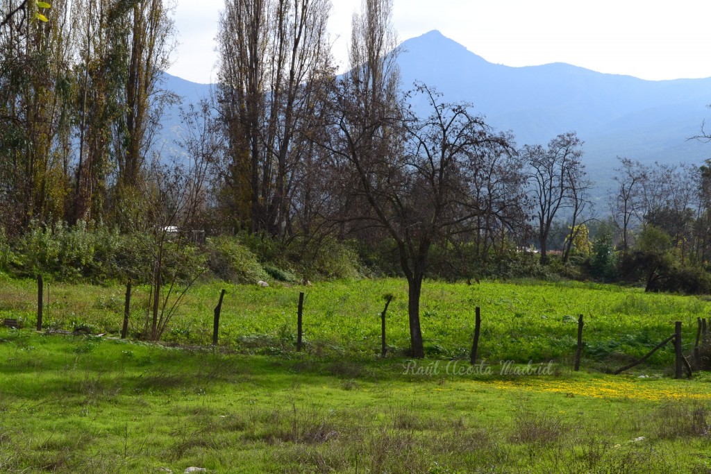 Foto de Lo Miranda (Libertador General Bernardo OʼHiggins), Chile