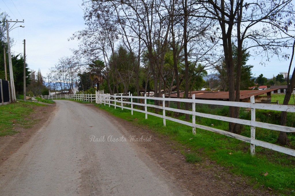 Foto de Lo Miranda (Libertador General Bernardo OʼHiggins), Chile