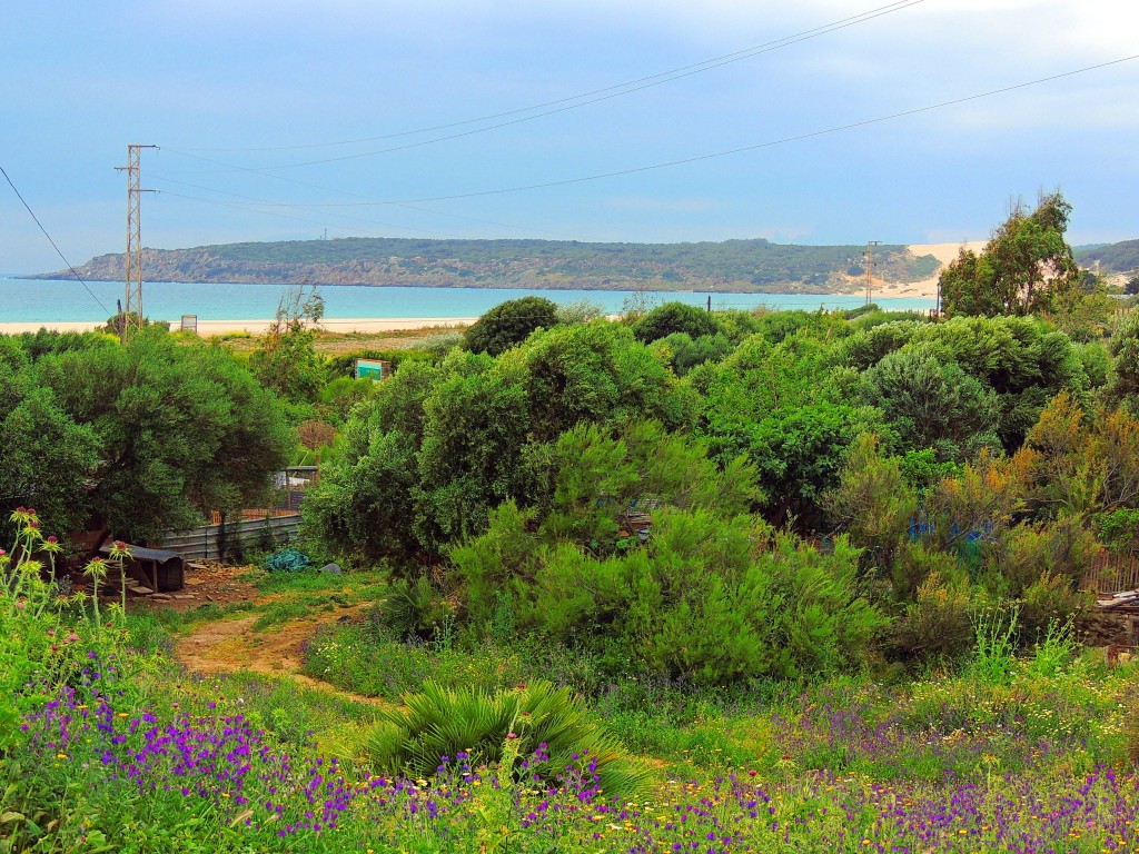 Foto de El Lentiscal (Cádiz), España