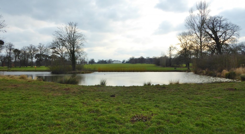 Foto: Hylands Park - Chelmsford (England), El Reino Unido