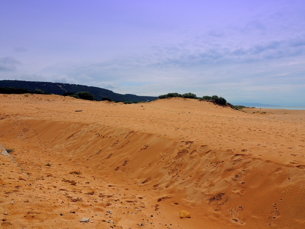 Foto de Los Caños de Meca (Cádiz), España