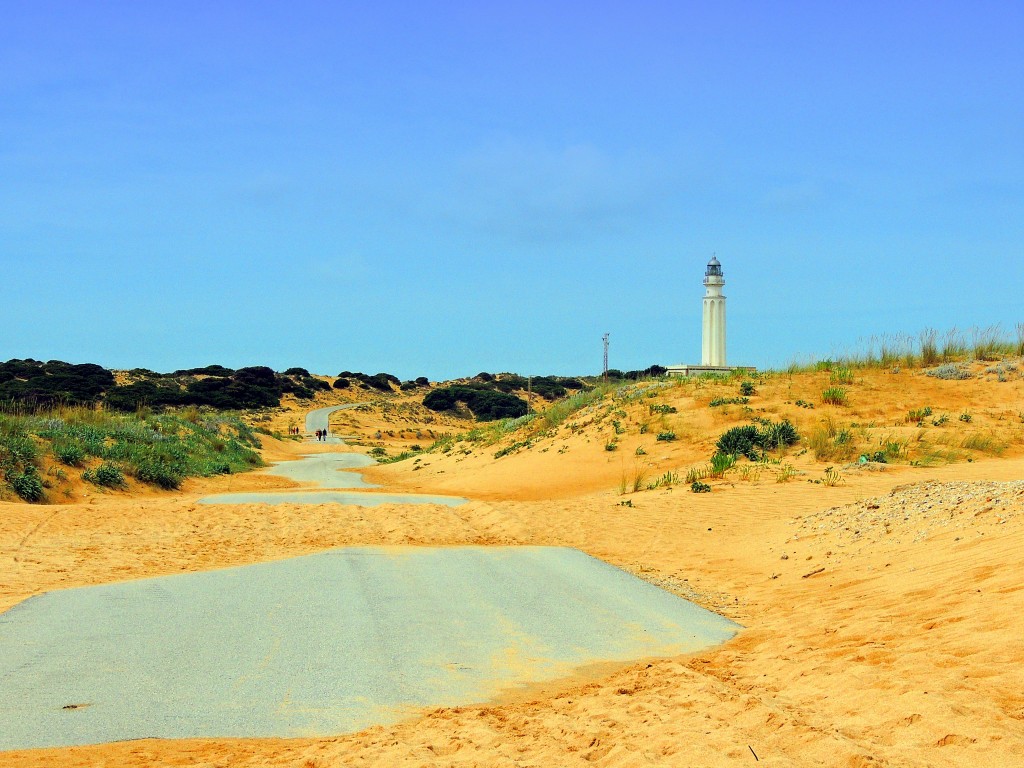 Foto de Los Caños de Meca (Cádiz), España