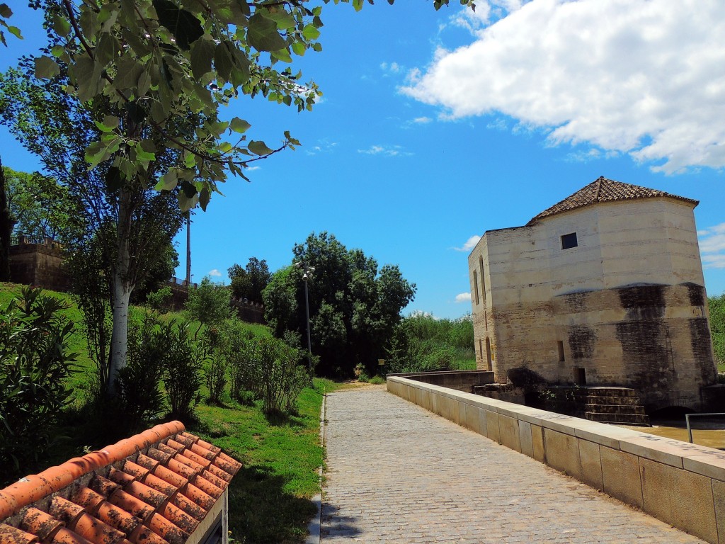 Foto de Córdoba (Andalucía), España