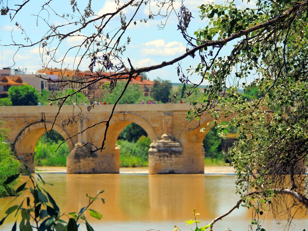 Foto de Córdoba (Andalucía), España