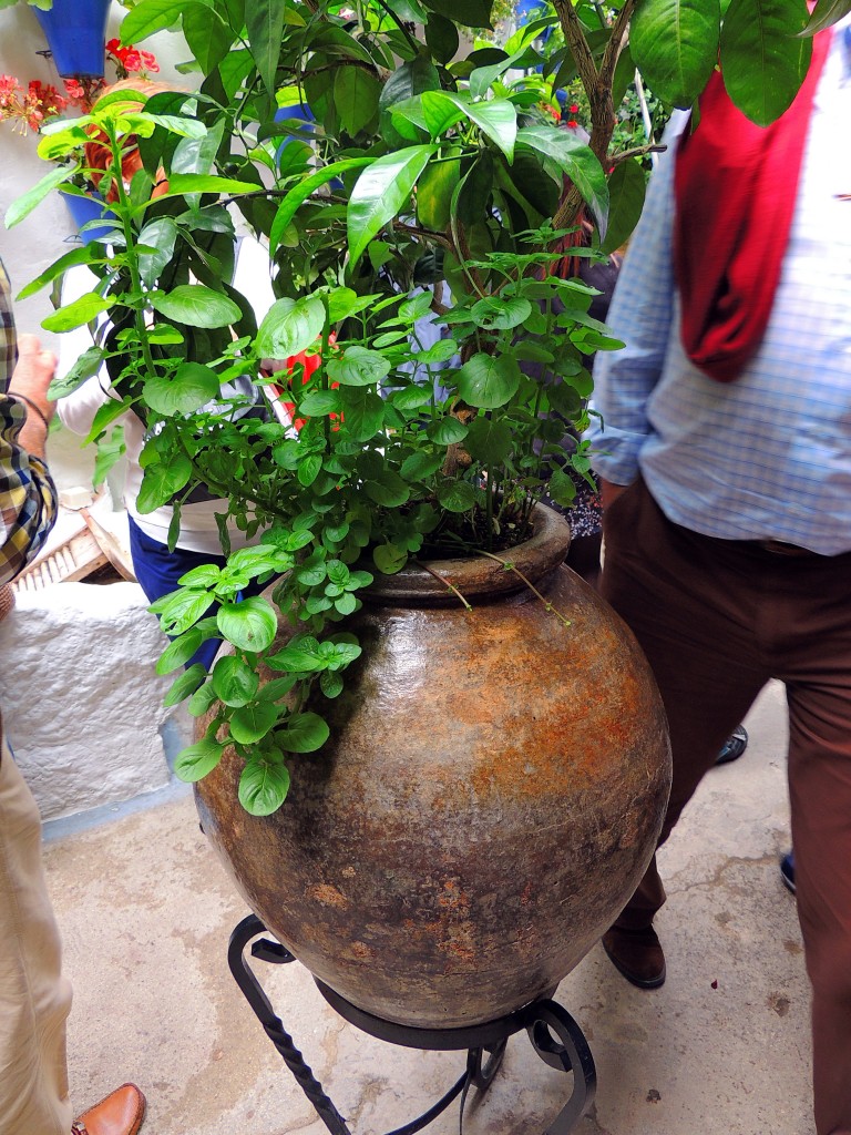 Foto de Córdoba (Andalucía), España