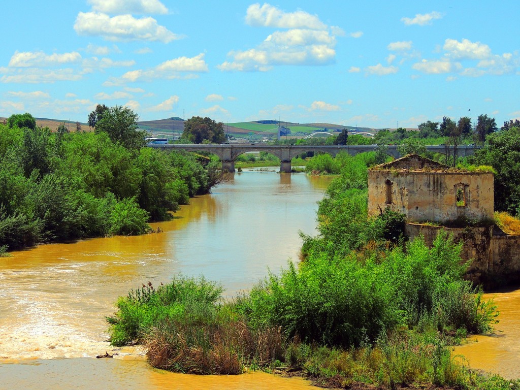Foto de Córdoba (Andalucía), España