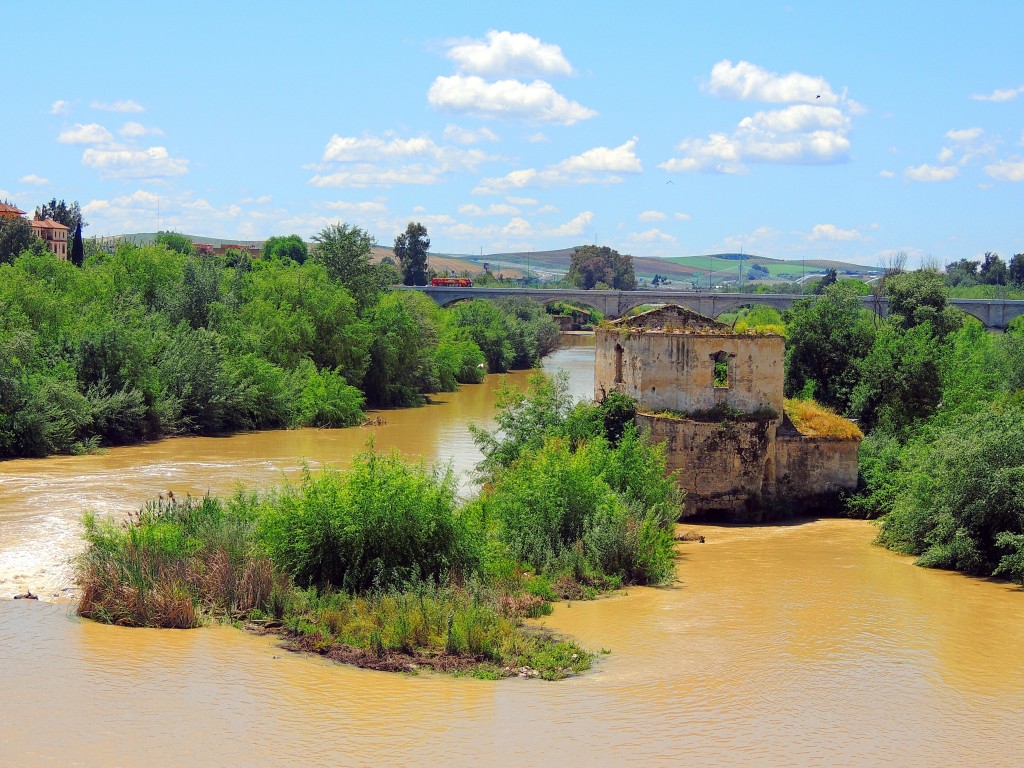 Foto de Córdoba (Andalucía), España