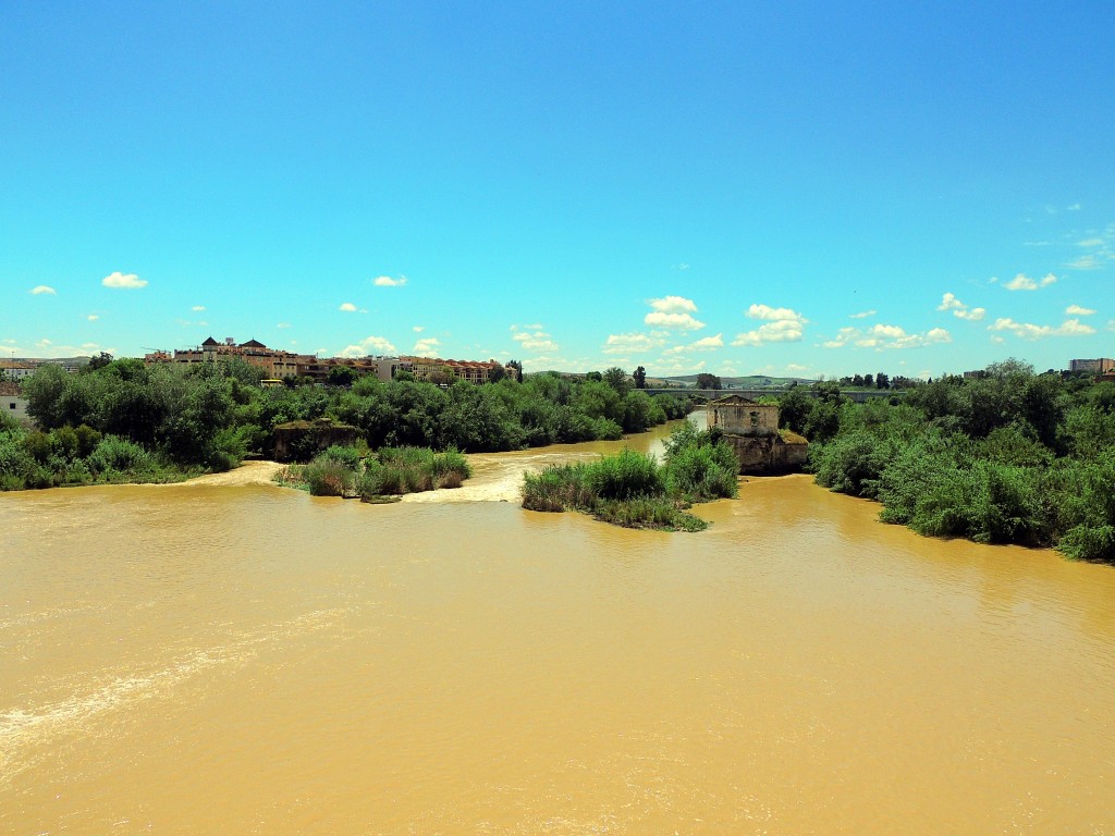 Foto de Córdoba (Andalucía), España