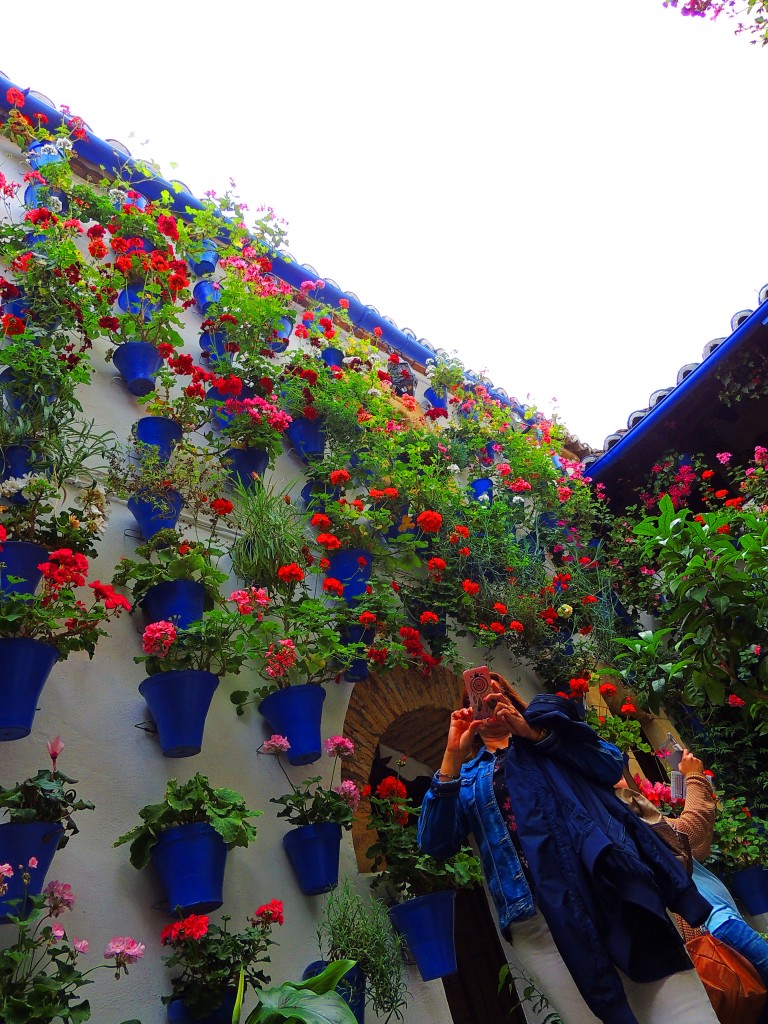 Foto de Córdoba (Andalucía), España