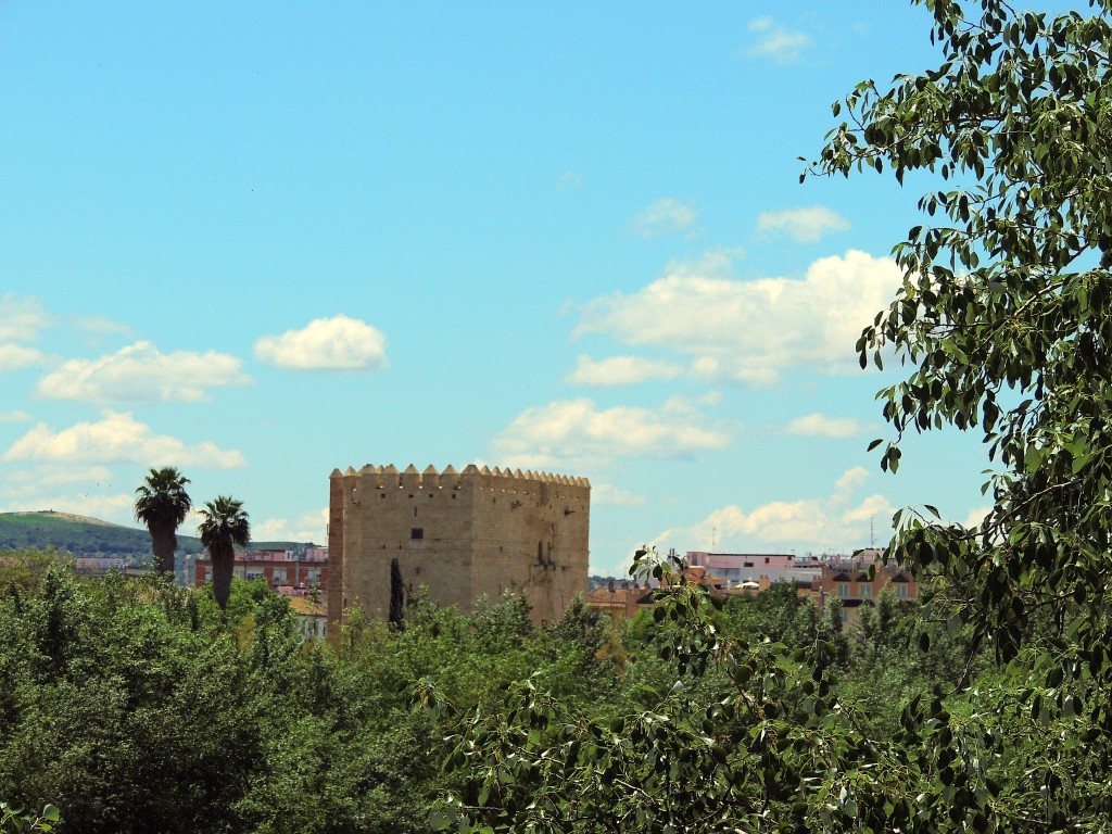 Foto de Córdoba (Andalucía), España