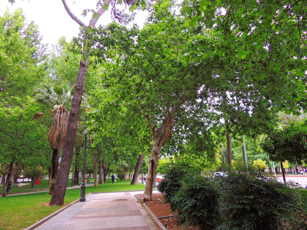 Foto de Córdoba (Andalucía), España