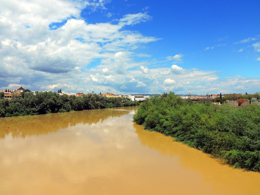 Foto de Córdoba (Andalucía), España