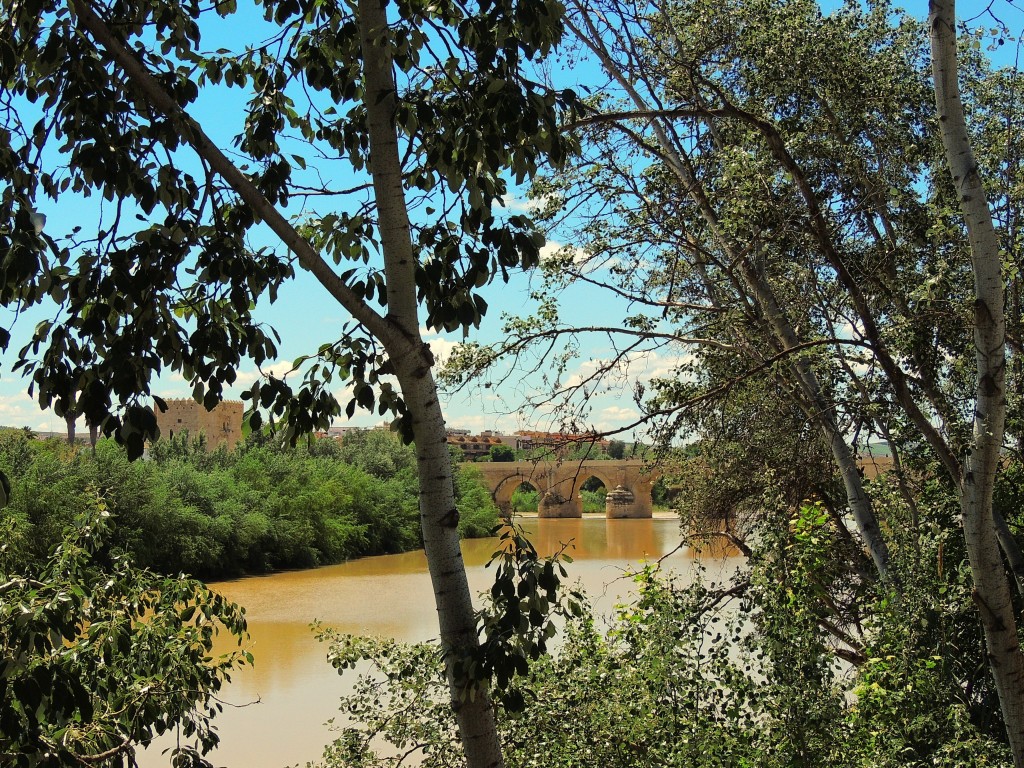 Foto de Córdoba (Andalucía), España