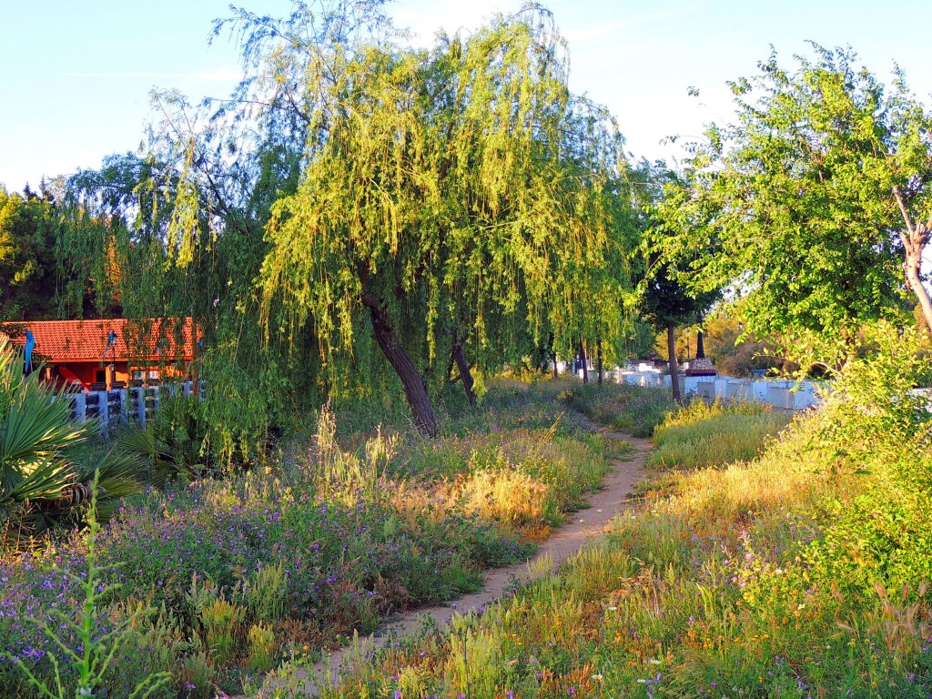 Foto de Bornos (Cádiz), España