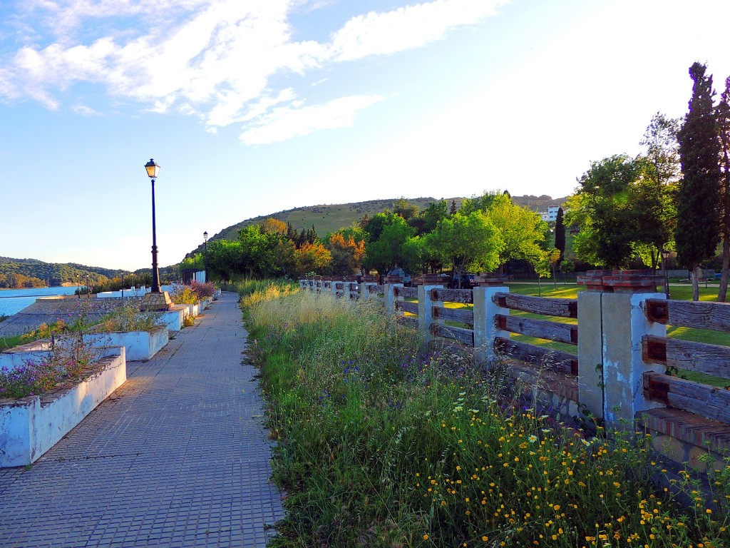 Foto de Bornos (Cádiz), España