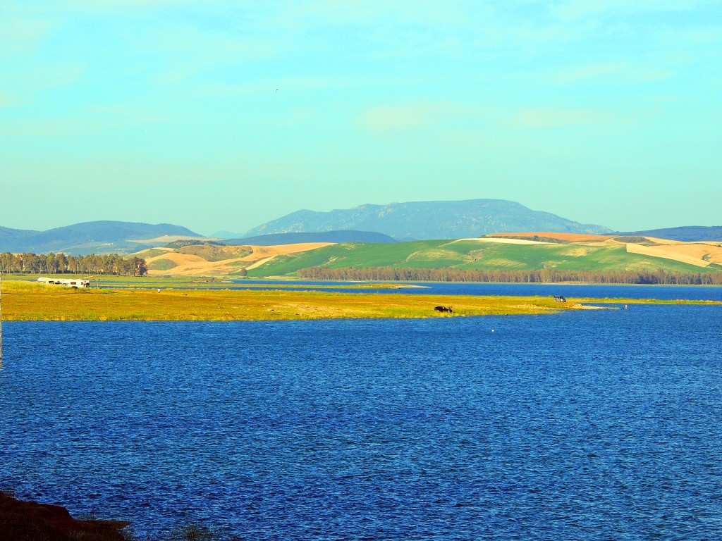 Foto de Bornos (Cádiz), España