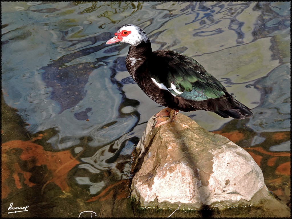 Foto: 160221-15 ZARAGOZA HUERVA - Zaragoza (Aragón), España