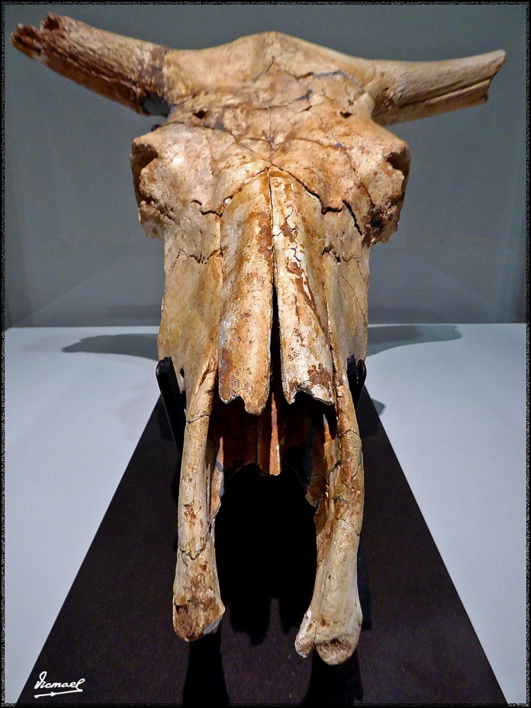 Foto: 160312-031 MUSEO HISTORIA - Zaragoza (Aragón), España