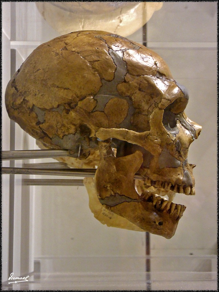 Foto: 160312-035 MUSEO HISTORIA - Zaragoza (Aragón), España