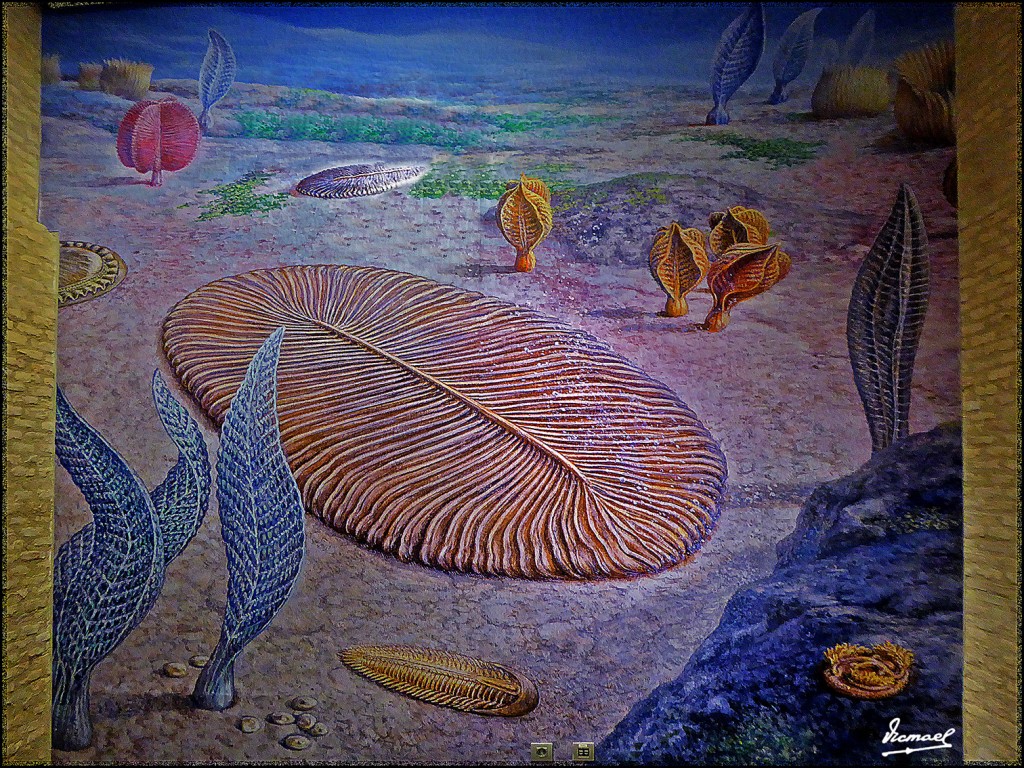 Foto: 160312-001 MUSEO HISTORIA - Zaragoza (Aragón), España