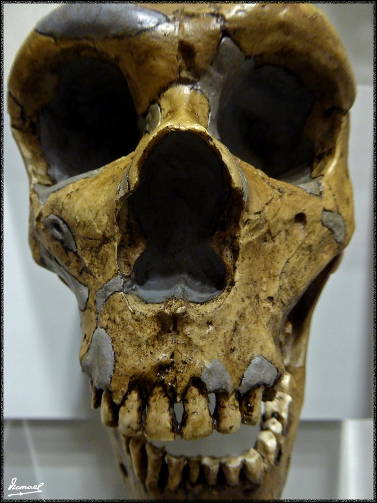 Foto: 160312-041 MUSEO HISTORIA - Zaragoza (Aragón), España