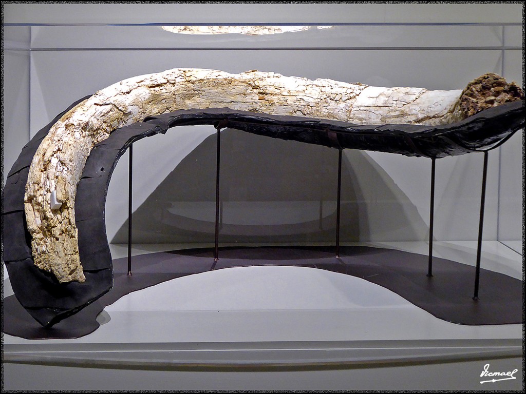 Foto: 160312-032 MUSEO HISTORIA - Zaragoza (Aragón), España