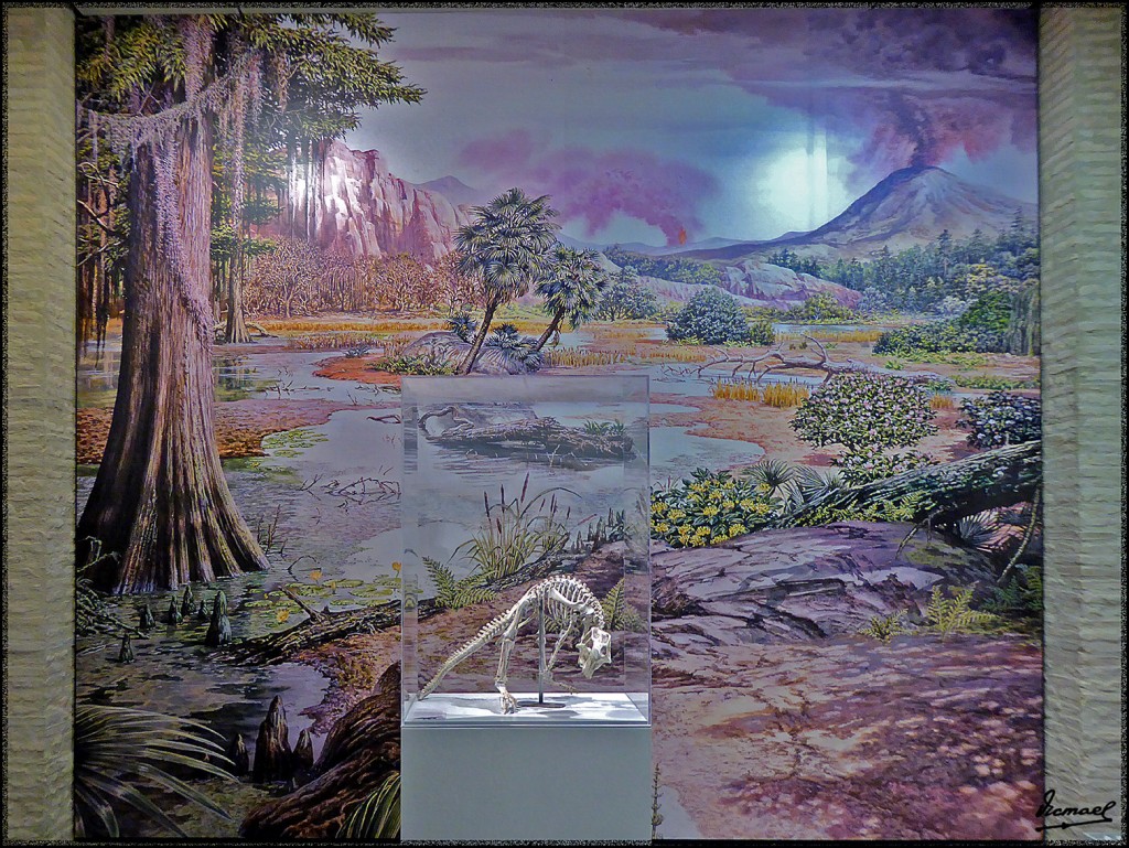 Foto: 160312-023 MUSEO HISTORIA - Zaragoza (Aragón), España