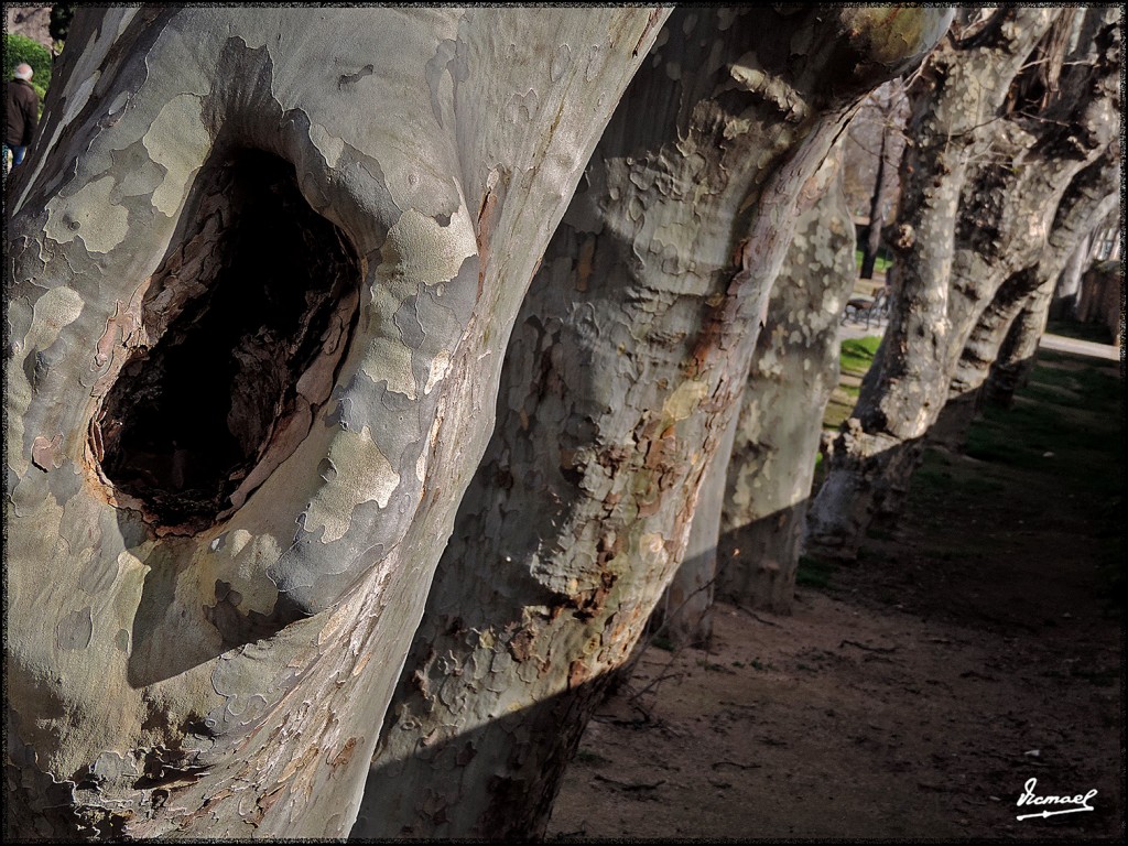 Foto: 160221-18 ZARAGOZA HUERVA - Zaragoza (Aragón), España