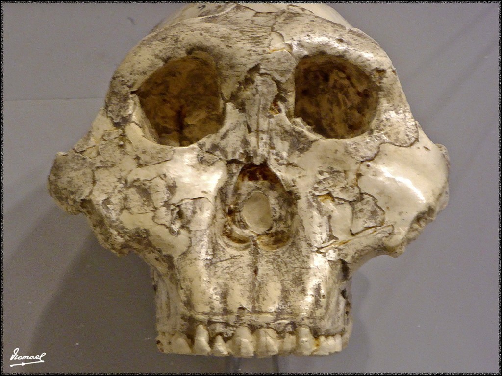 Foto: 160312-038 MUSEO HISTORIA - Zaragoza (Aragón), España