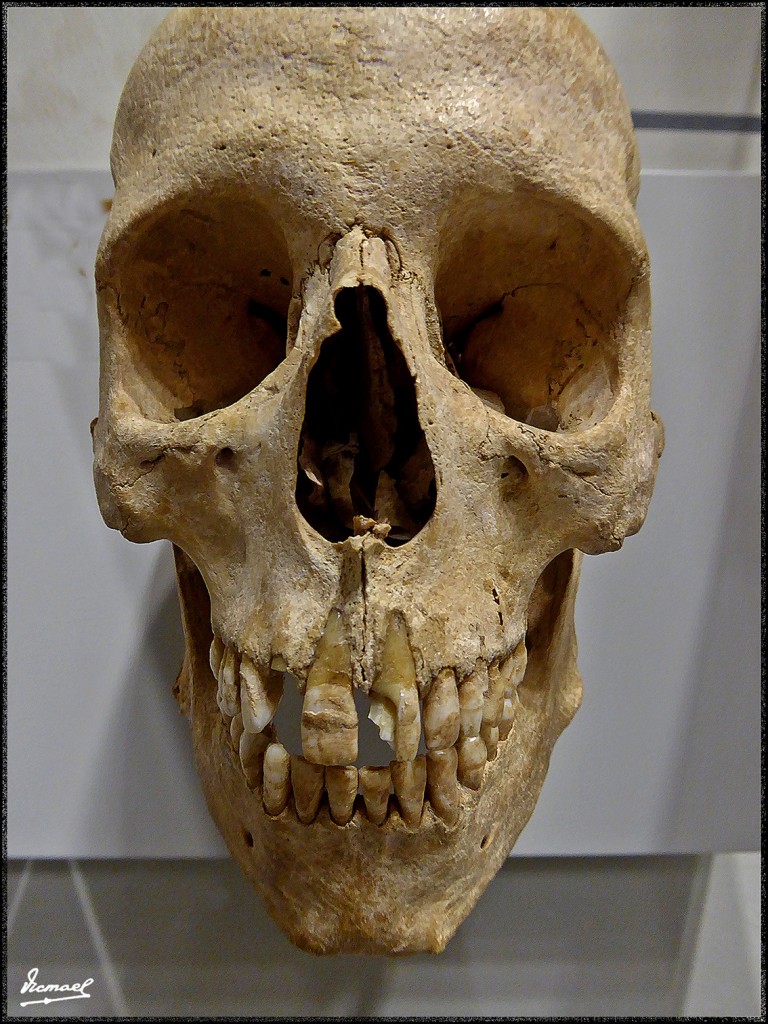 Foto: 160312-040 MUSEO HISTORIA - Zaragoza (Aragón), España