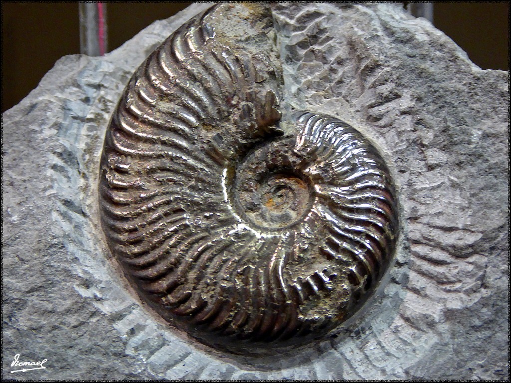 Foto: 160312-014 MUSEO HISTORIA - Zaragoza (Aragón), España