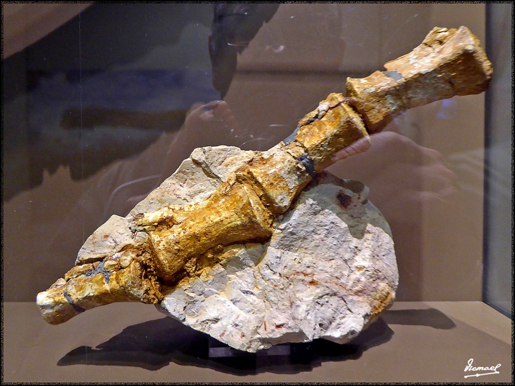 Foto: 160312-018 MUSEO HISTORIA - Zaragoza (Aragón), España