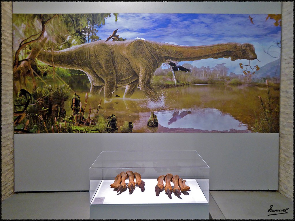 Foto: 160312-019 MUSEO HISTORIA - Zaragoza (Aragón), España