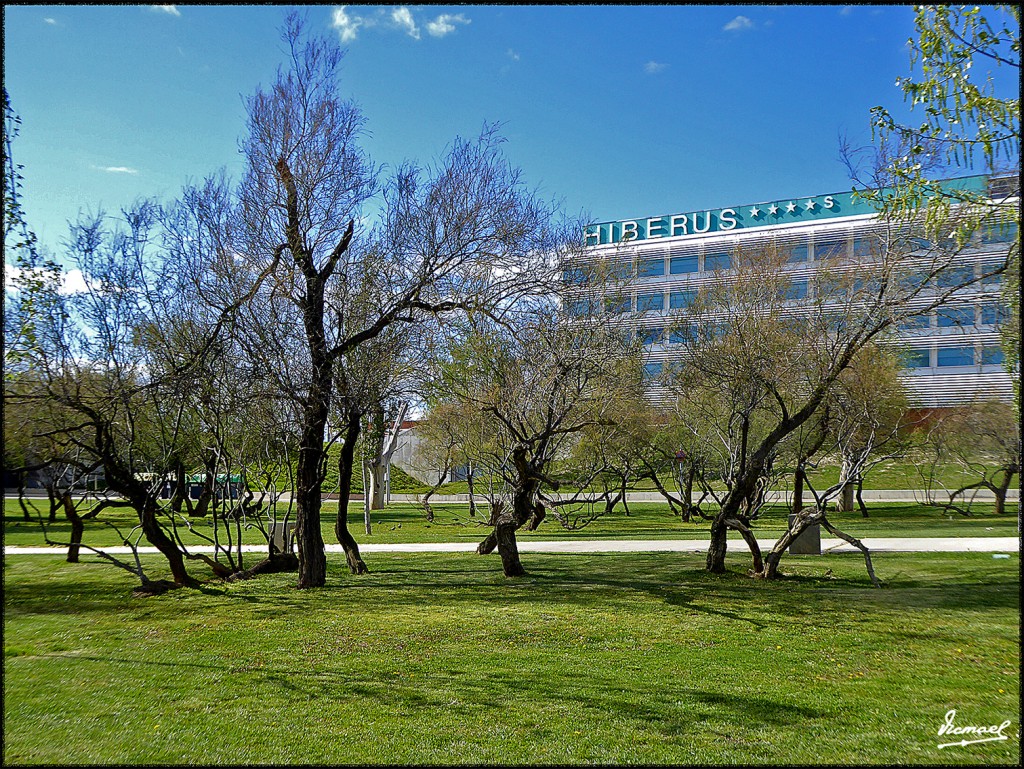 Foto: 160407-14 ZARAGOZA RANILLAS - Zaragoza (Aragón), España