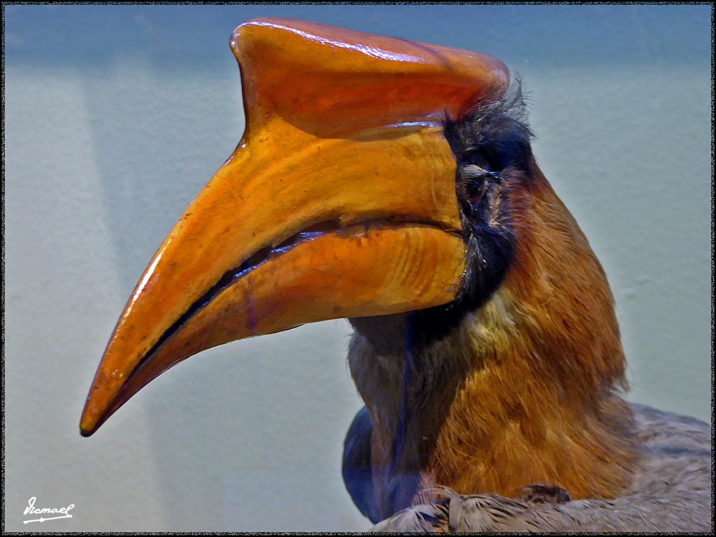 Foto: 160312-059 MUSEO HISTORIA - Zaragoza (Aragón), España