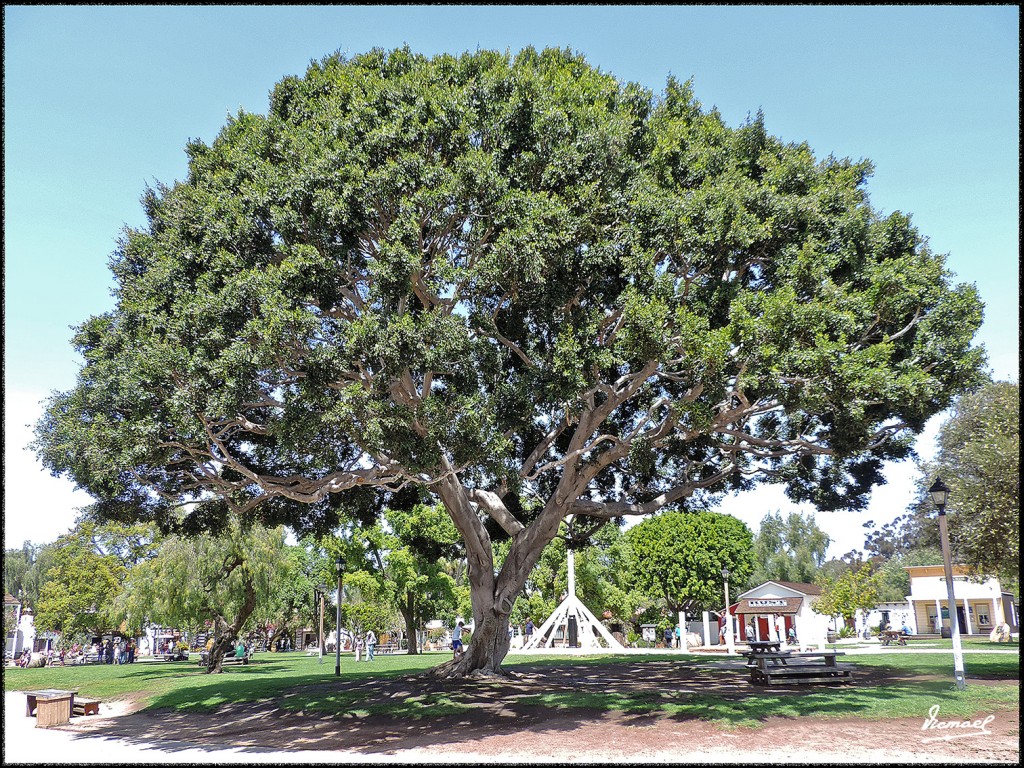 Foto: 160415-080 SAN DIEGO - San Diego (California), Estados Unidos