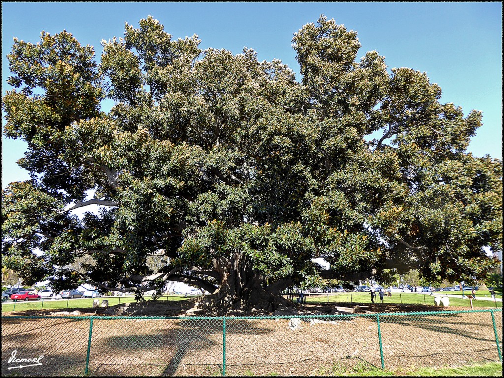 Foto: 160415-114 SAN DIEGO - San Diego (California), Estados Unidos