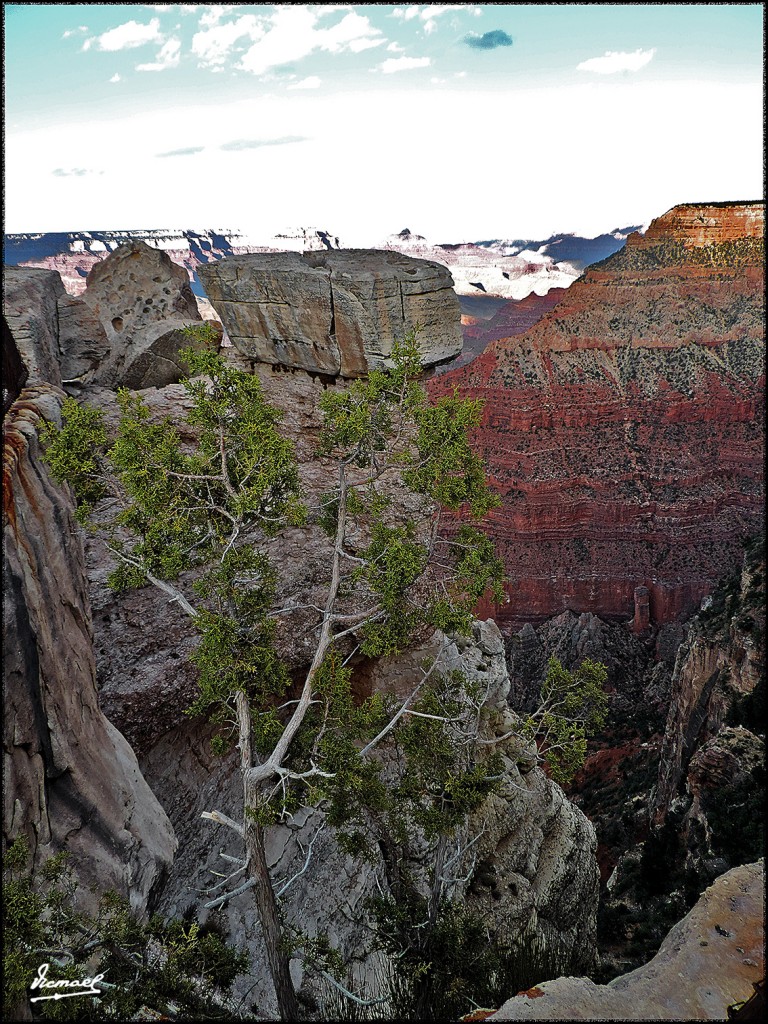 Foto: 160417-023 GRAN CAÑON - Gran Cañon (Arizona), Estados Unidos