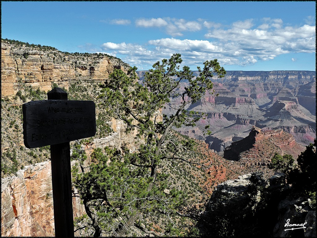 Foto: 160418-026 GRAN CAÑON - Gran Cañon (Arizona), Estados Unidos