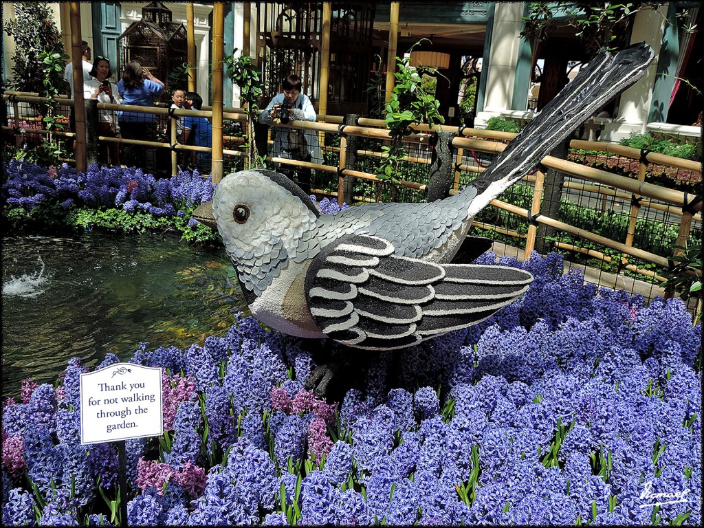 Foto: 160419-051 LAS VEGAS - Las Vegas (California), Estados Unidos