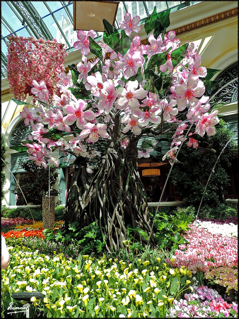 Foto: 160419-048 LAS VEGAS - Las Vegas (California), Estados Unidos