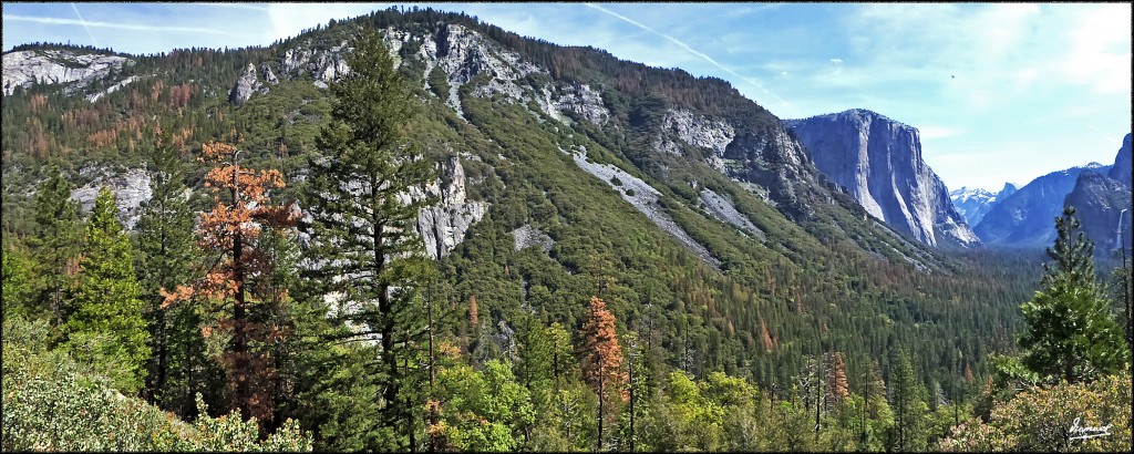 Foto: 160421-007 YOSEMITE - Yosemite (California), Estados Unidos