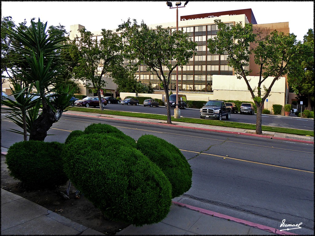 Foto: 160420-011 FRESNO - Fresno (California), Estados Unidos