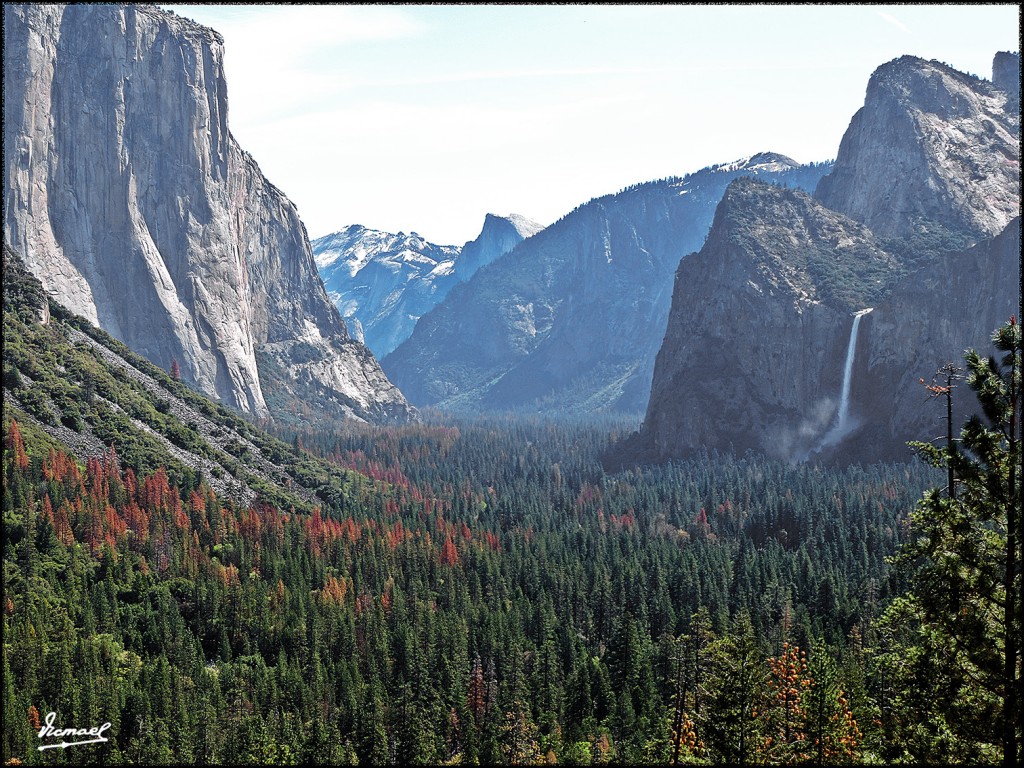 Foto: 160421-025 YOSEMITE - Yosemite (California), Estados Unidos