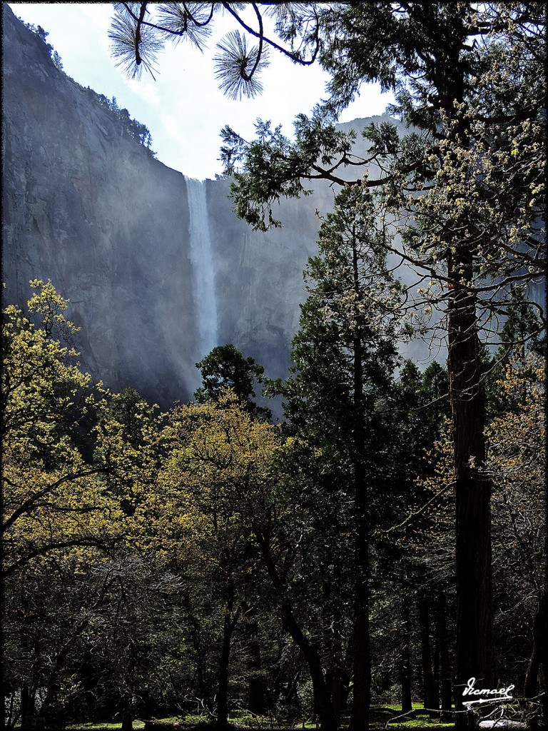 Foto: 160421-035 YOSEMITE - Yosemite (California), Estados Unidos