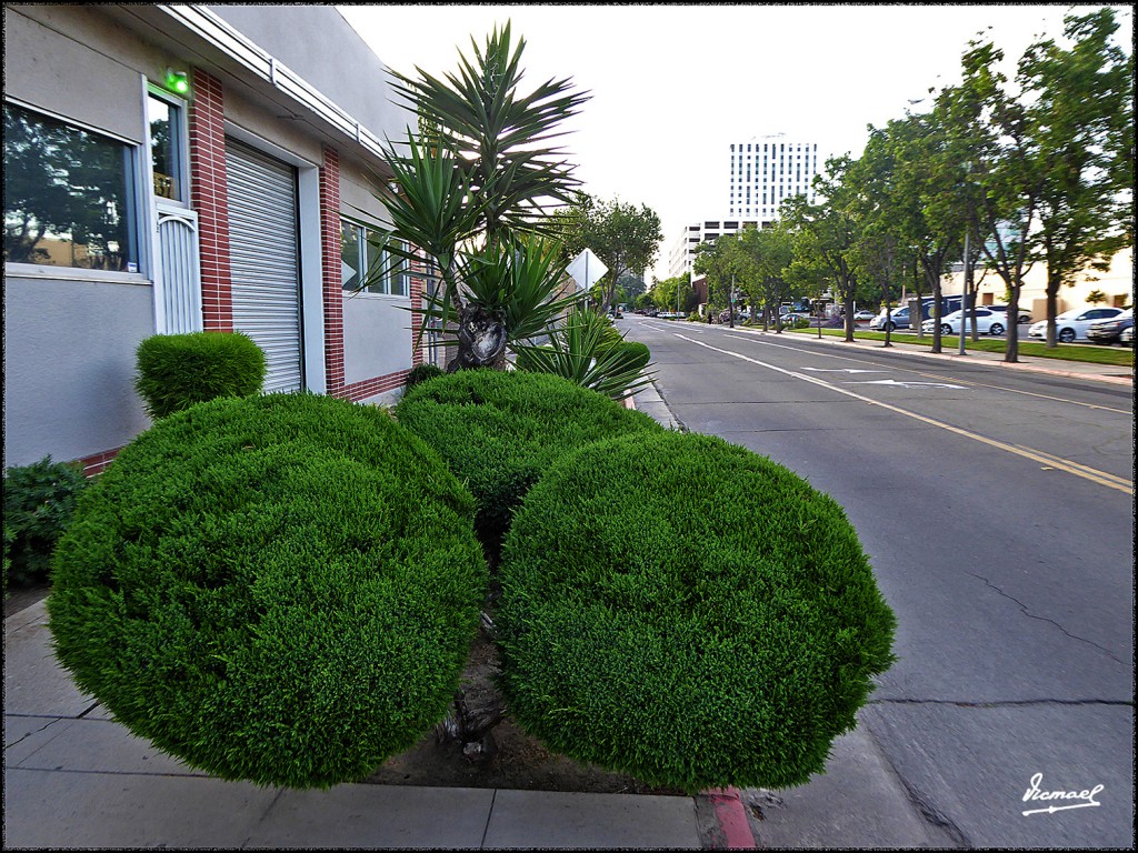 Foto: 160420-012 FRESNO - Fresno (California), Estados Unidos